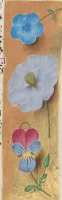 Verzierte Randleiste auf Goldgrund:Storchschnabel, Mohn, ... from