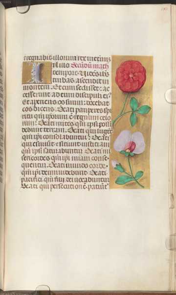  Verzierte Randleiste auf Goldgrund: ... dans