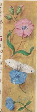 Miniatur: Hl. Barbara; Verzierte Randleiste ... from