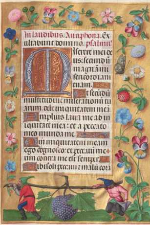 Ganzseitige Miniatur mit Text
