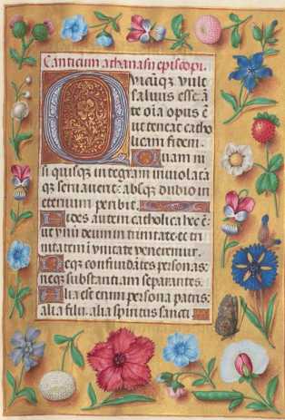 Ganzseitige Miniatur mit Text
