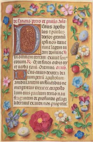 Ganzseitige Miniatur mit Text
