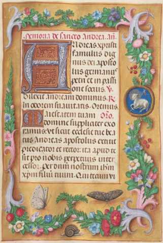 Ganzseitige Miniatur mit Text
