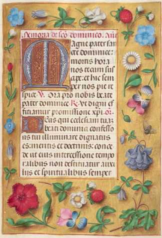 Ganzseitige Miniatur mit Text
