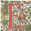 Text: Buchavia, o, Buchonia aus