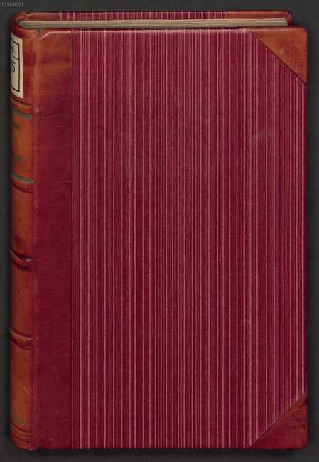 Figura din