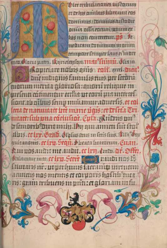 Randzierwappen: Die Herschaft zu Feuchtwang ... aus