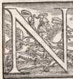 Libro settimo
