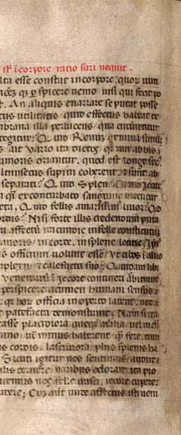 Kleine goldene Renaissance-Initiale M
