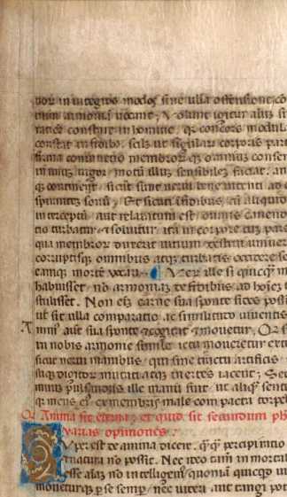 Kleine goldene Renaissance-Initiale S
