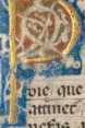 Goldene Renaissance-Initiale P (#)

