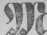 Münchener Anzeiger 03.04.1877 da