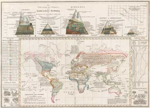 Umrisse der Pflanzengeographie
