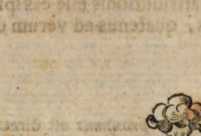 Figura din