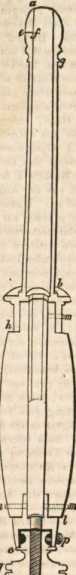 Figura din
