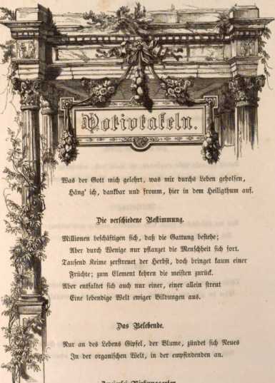 Abbildung aus
