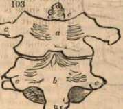 Figura de
