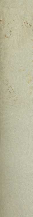 Figura da