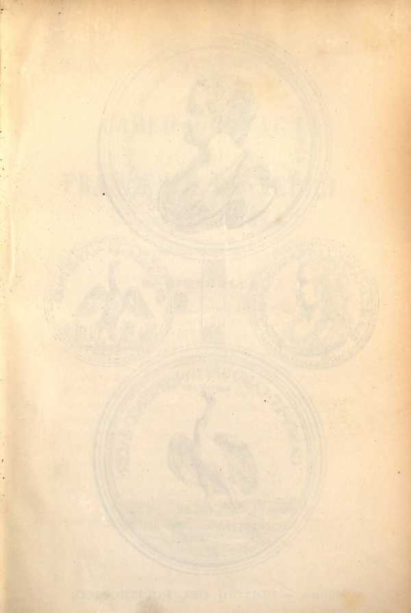 Figura da