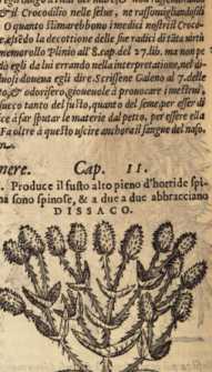 Figura din