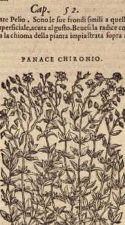 Figura din