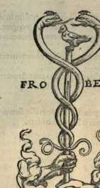 Figura din