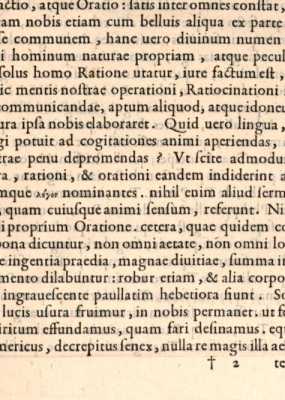 Figura din