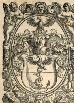 Figura din