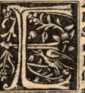 Figura da