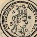 Figura da