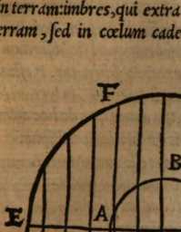 Figura din