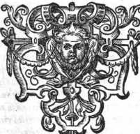 Figura din