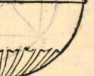 Figura de