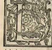 Figura de