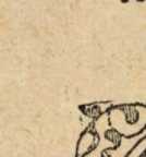 Figura de