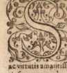 Figura de