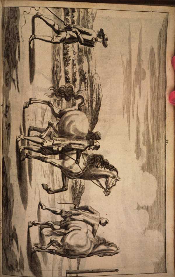Image from