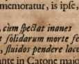 Abbildung aus