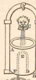 Figura din