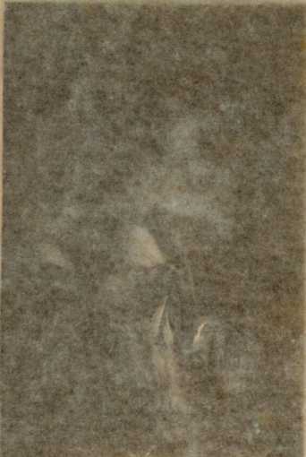 Figura da