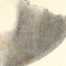 Figura de