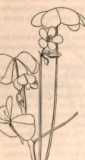 Illustration dans