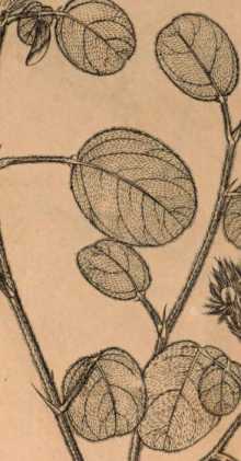 Illustration dans