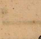 Figura din