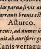 Figura da