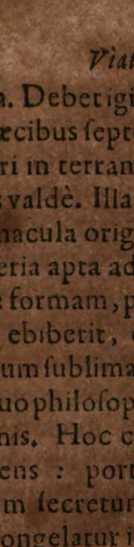 Figura