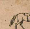 Figura din