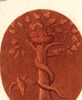 Figura de