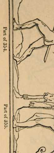 Figura da
