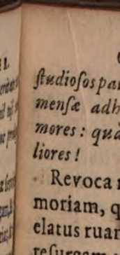 Figura din
